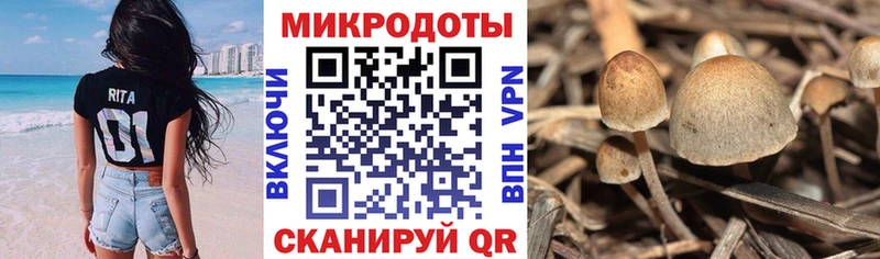 Галлюциногенные грибы Magic Shrooms  блэк спрут ссылки  Талица  купить закладку 