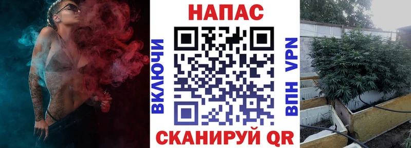 Каннабис семена  Талица 